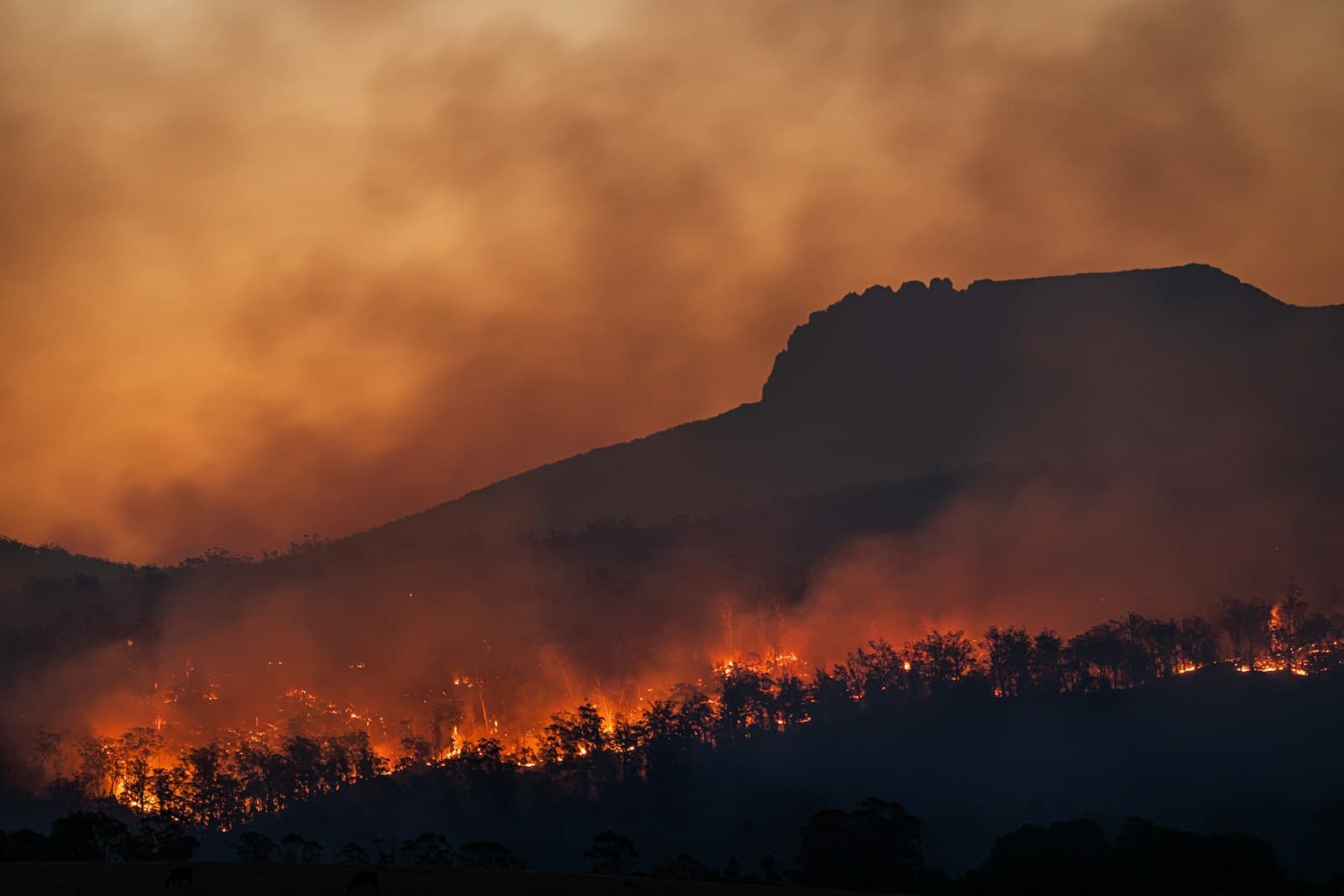 Wildfire Season Electrical Prep for Southern California Homes